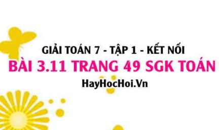 Bài 3.11 SGK Toán 7 tập 1 Kết nối tri thức